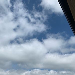 Meet your Posher, Kendall